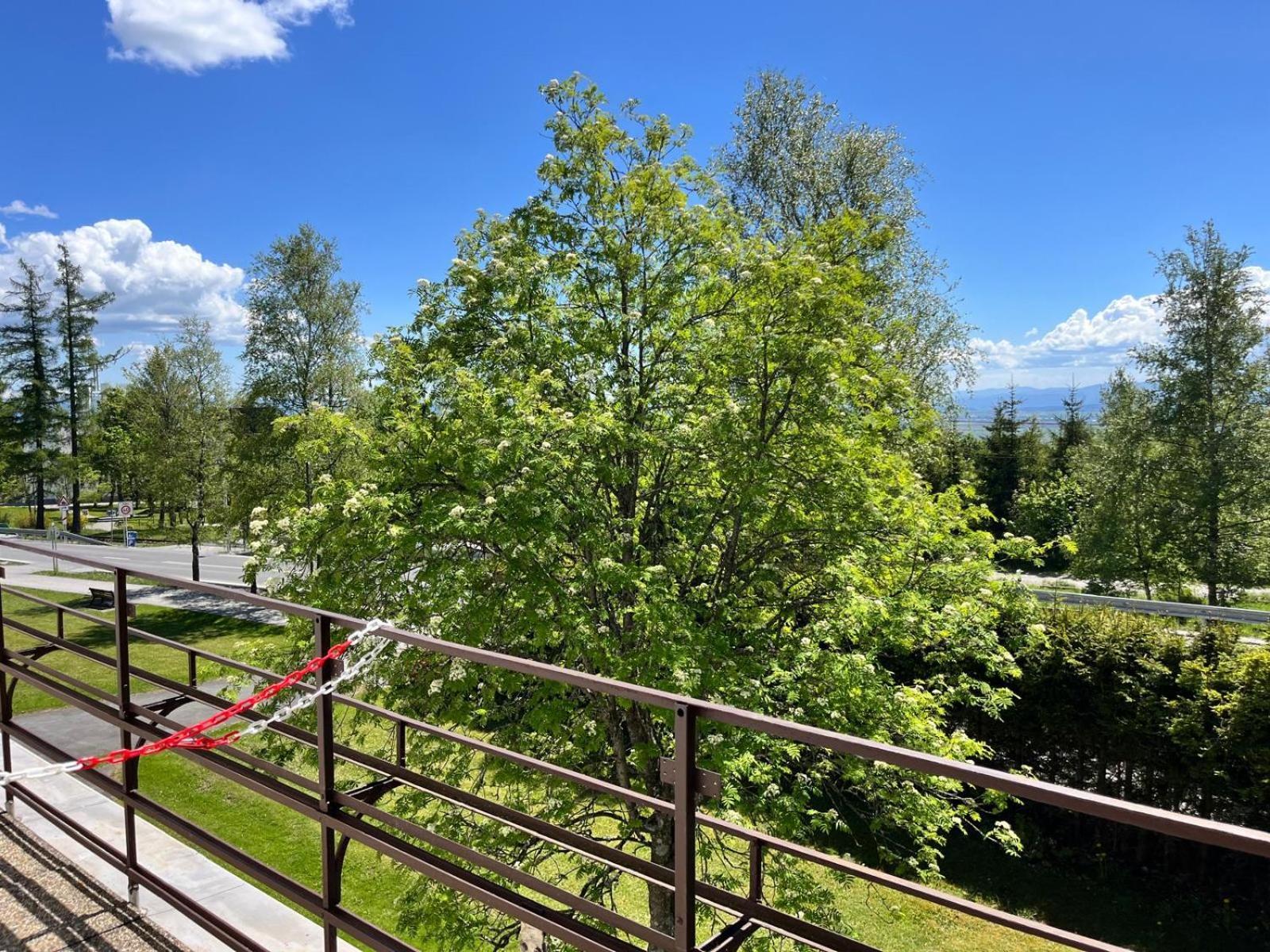 格拉赫别墅旅馆 Vysoké Tatry 外观 照片